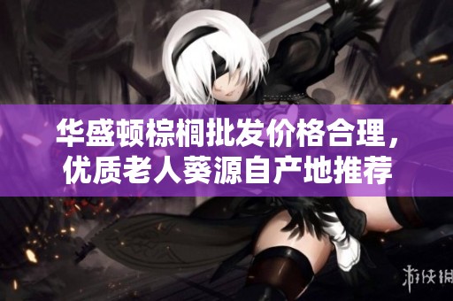 华盛顿棕榈批发价格合理，优质老人葵源自产地推荐