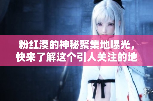 粉红漠的神秘聚集地曝光，快来了解这个引人关注的地点