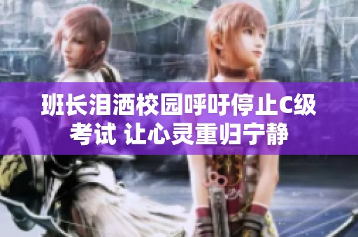 班长泪洒校园呼吁停止C级考试 让心灵重归宁静