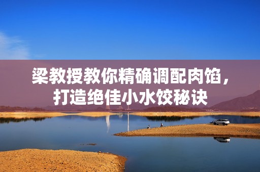 梁教授教你精确调配肉馅，打造绝佳小水饺秘诀