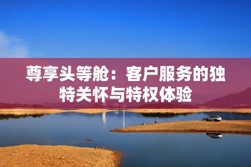 尊享头等舱：客户服务的独特关怀与特权体验
