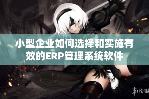 小型企业如何选择和实施有效的ERP管理系统软件