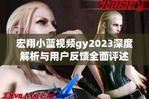 宏翔小蓝视频gy2023深度解析与用户反馈全面评述