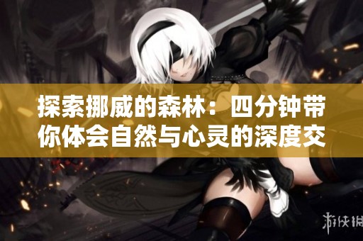 探索挪威的森林：四分钟带你体会自然与心灵的深度交融