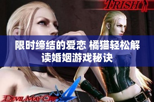 限时缔结的爱恋 橘猫轻松解读婚姻游戏秘诀