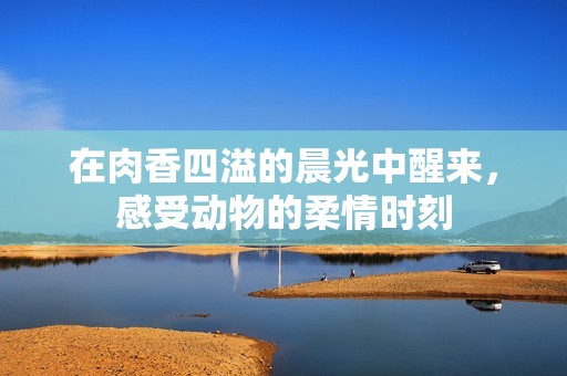 在肉香四溢的晨光中醒来，感受动物的柔情时刻