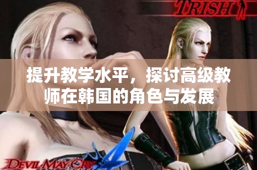 提升教学水平，探讨高级教师在韩国的角色与发展