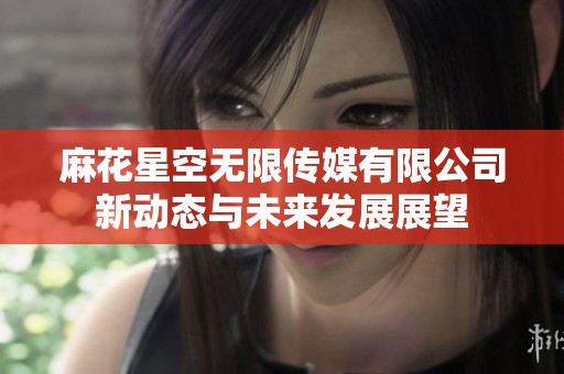 麻花星空无限传媒有限公司新动态与未来发展展望