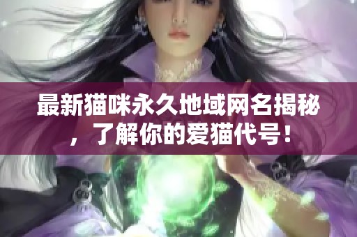 最新猫咪永久地域网名揭秘，了解你的爱猫代号！