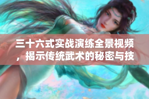 三十六式实战演练全景视频，揭示传统武术的秘密与技巧