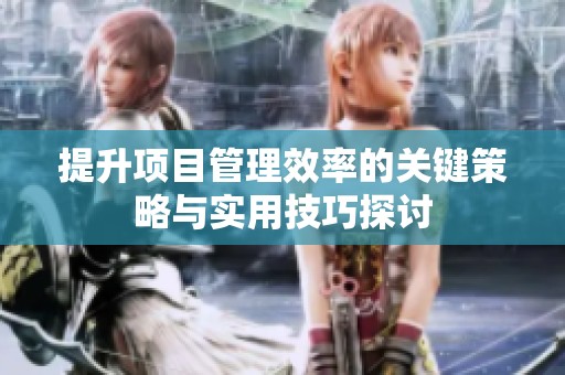 提升项目管理效率的关键策略与实用技巧探讨