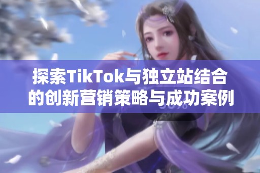 探索TikTok与独立站结合的创新营销策略与成功案例